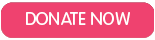 Donate Now