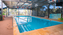 Sea Turtle Swim School image