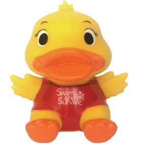 Yellow duck money box fundraising merchandise sidebar image