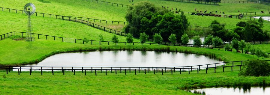 Image of grassy farm fields with several dams, a windmill and some cows in the distance