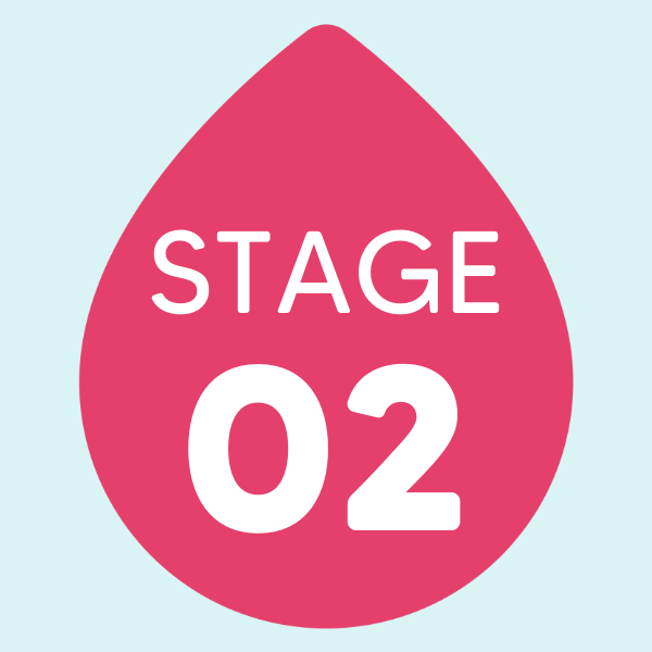Stage 2