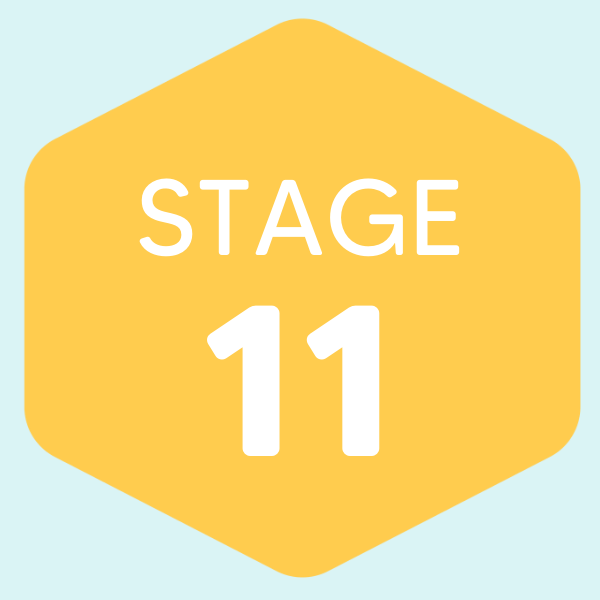 Stage 11