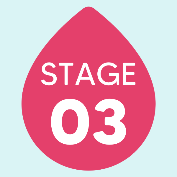 Stage 3