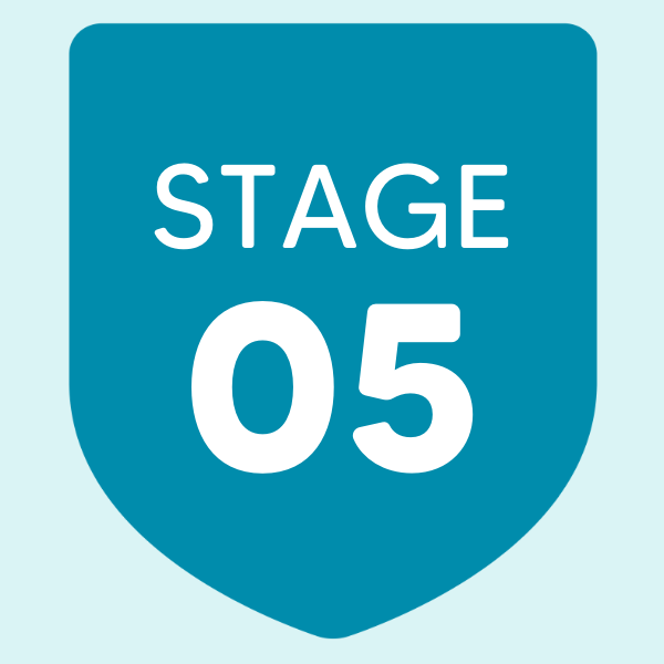 Stage 5