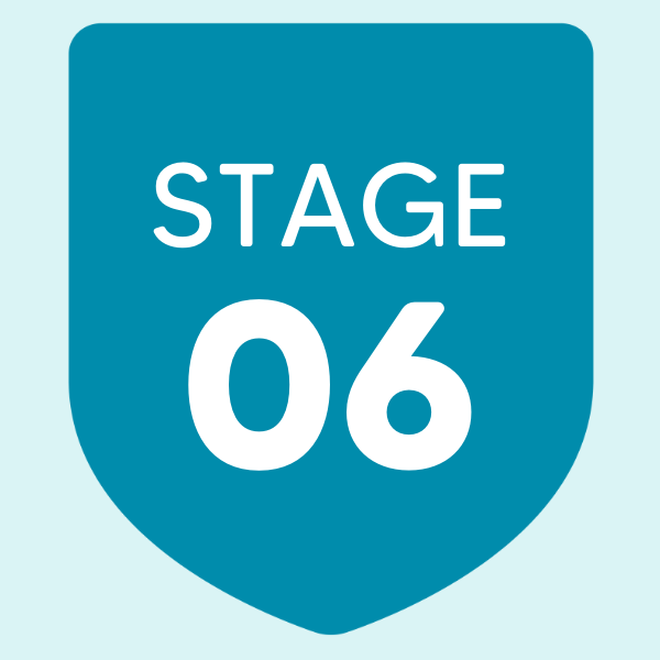 Stage 6