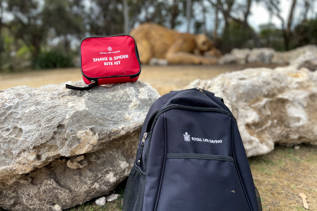 A Snake and Spider Bite kit sit on a rock near a backpack in a remote area