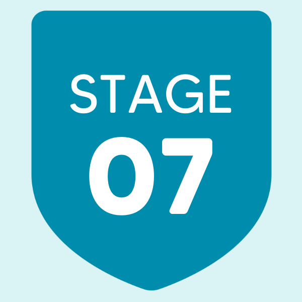 Stage 7