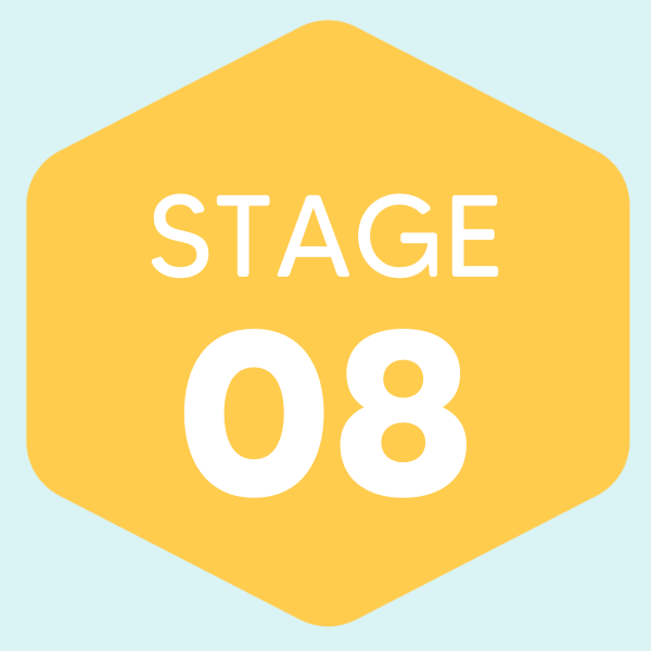 Stage 8
