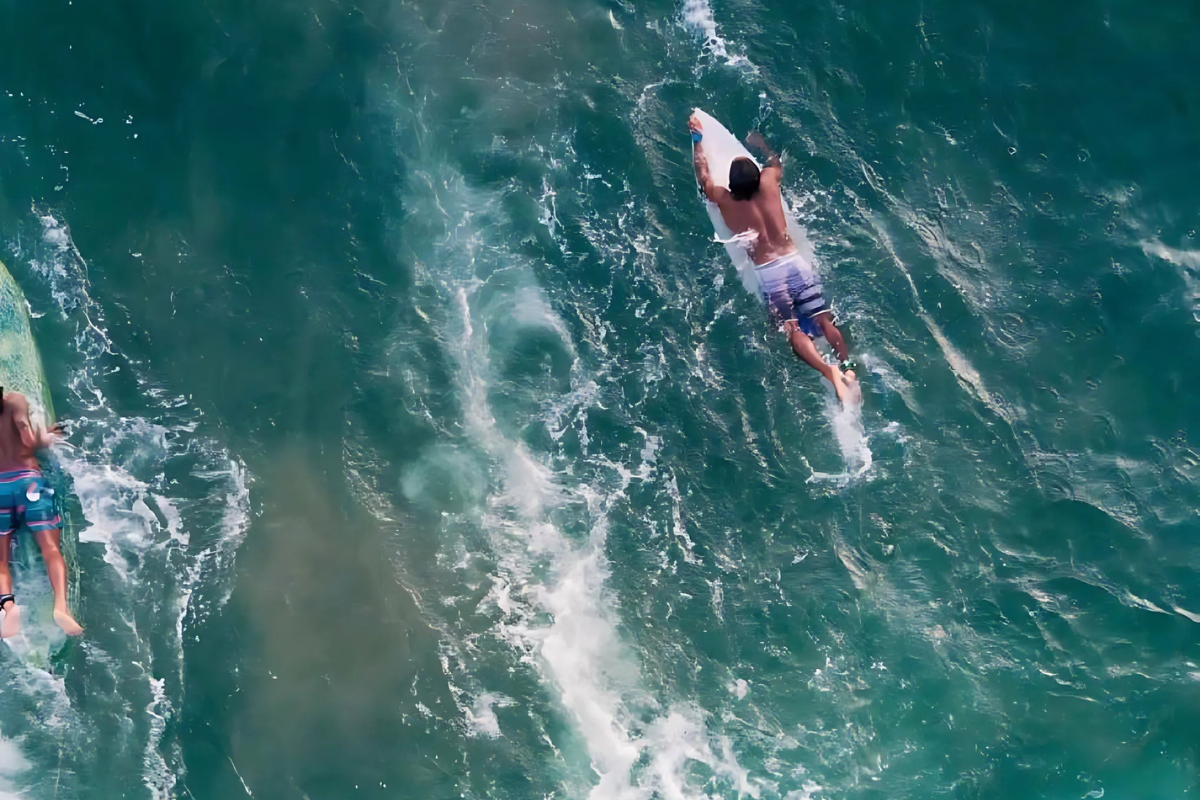 Birds eye view of surfers paddling in water