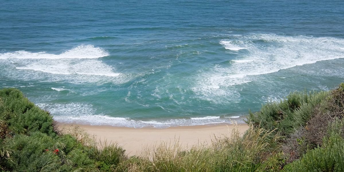 Calm rip current surrounded by breaking waves with beach and foliage in foreground
