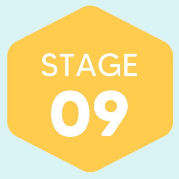 Stage 9