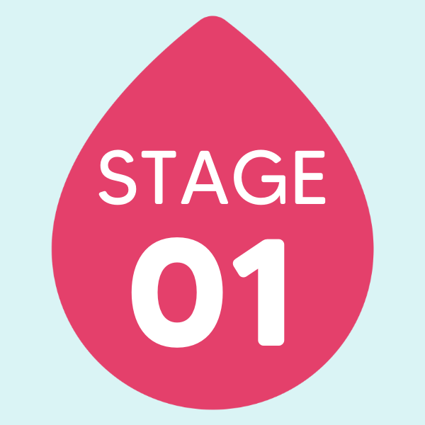 Stage 1